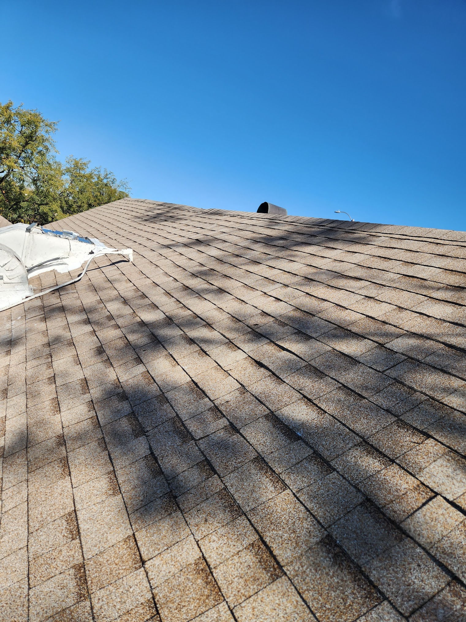 Shingle roof Tucson